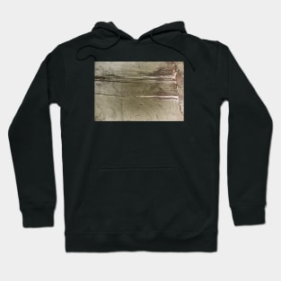 Leaking concrete 17 Hoodie